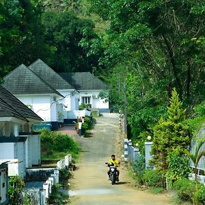 Magic Land Resorts