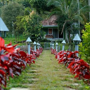 Ayurnest Pool Resort Wayanad